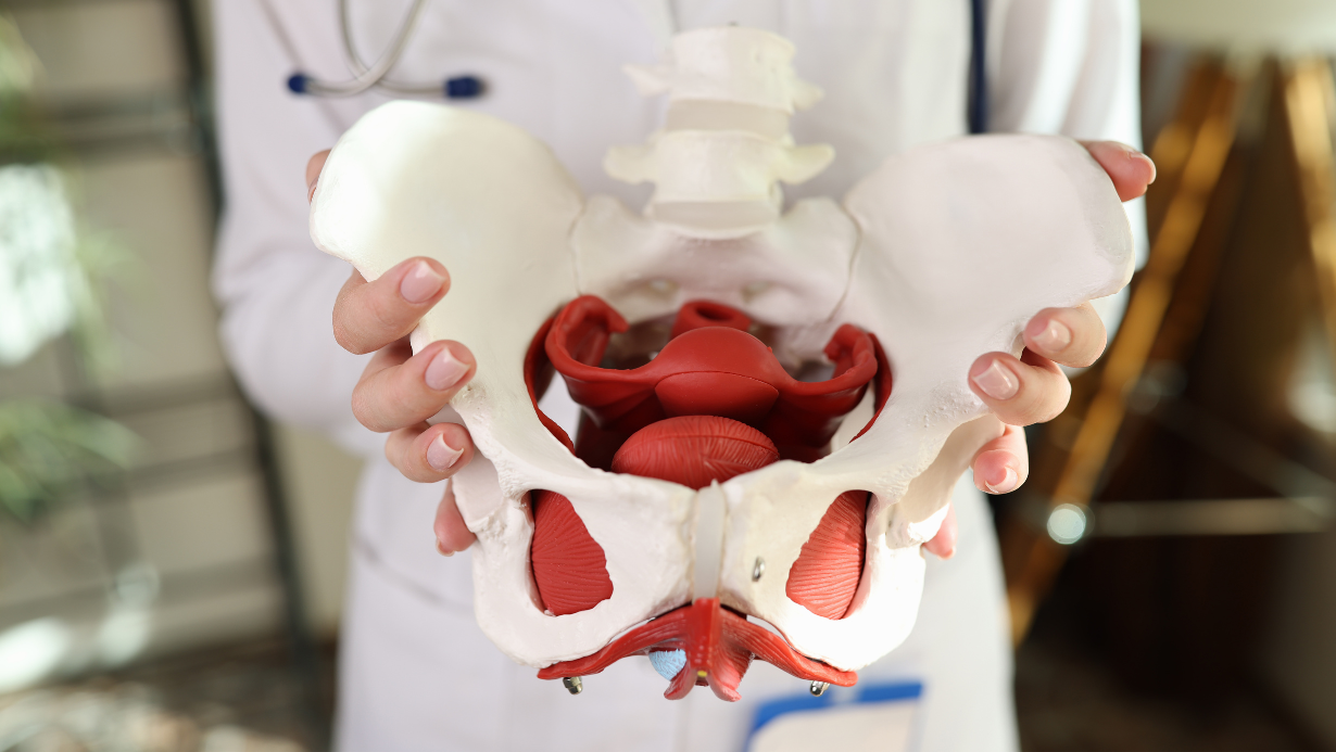 Beckenboden wahrnehmen und ansteuern